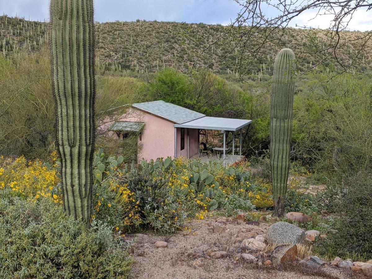 Saguaro Lake Ranch Fountain Hills Ngoại thất bức ảnh